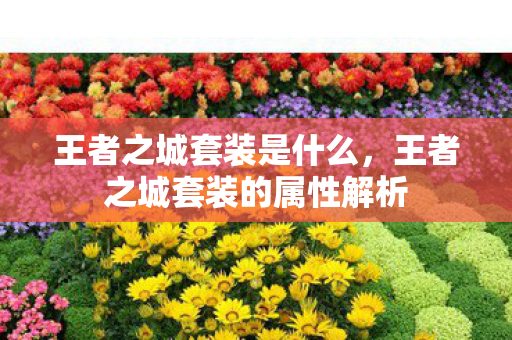 王者之城套装是什么，王者之城套装的属性解析