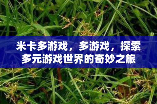 米卡多游戏，多游戏，探索多元游戏世界的奇妙之旅