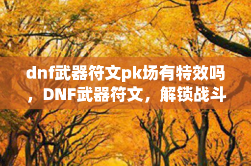 dnf武器符文pk场有特效吗，DNF武器符文，解锁战斗新境界的秘钥