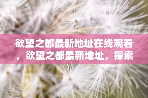 欲望之都最新地址在线观看，欲望之都最新地址，探索虚拟世界的奇幻之旅