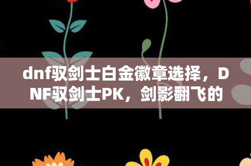 dnf驭剑士白金徽章选择，DNF驭剑士PK，剑影翻飞的战场艺术