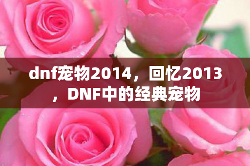 dnf宠物2014，回忆2013，DNF中的经典宠物
