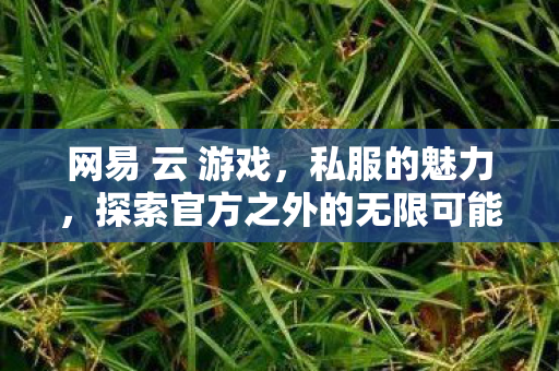 网易 云 游戏，私服的魅力，探索官方之外的无限可能
