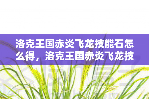 洛克王国赤炎飞龙技能石怎么得，洛克王国赤炎飞龙技能石，解锁飞龙力量的神秘钥匙