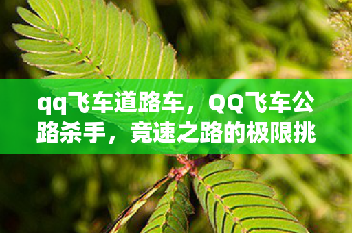 qq飞车道路车，QQ飞车公路杀手，竞速之路的极限挑战