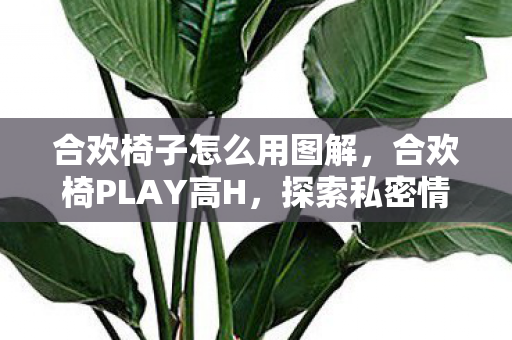 合欢椅子怎么用图解，合欢椅PLAY高H，探索私密情趣的新境界