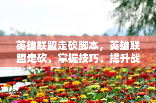 英雄联盟走砍脚本，英雄联盟走砍，掌握技巧，提升战斗效率
