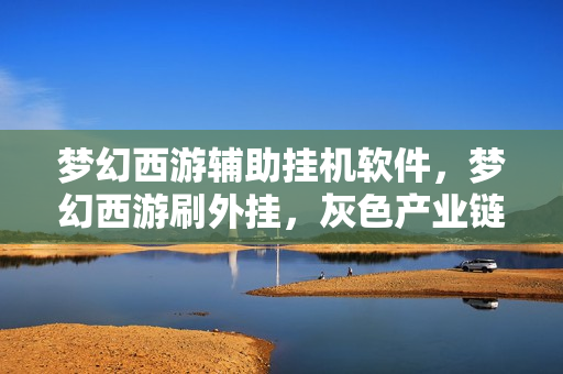 梦幻西游辅助挂机软件，梦幻西游刷外挂，灰色产业链下的游戏生态扭曲