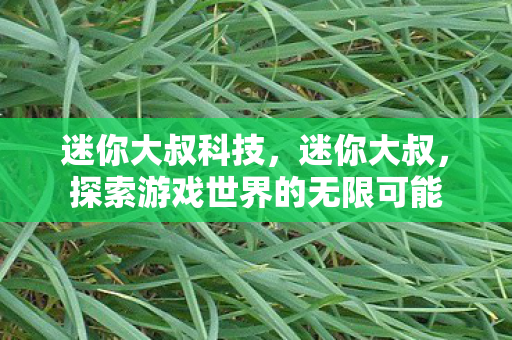 迷你大叔科技，迷你大叔，探索游戏世界的无限可能