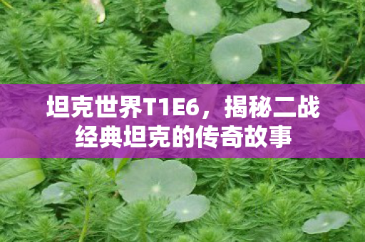 坦克世界T1E6,揭秘二战经典坦克的传奇故事 坦克世界T1E6,揭秘二战经典坦克的传奇故事