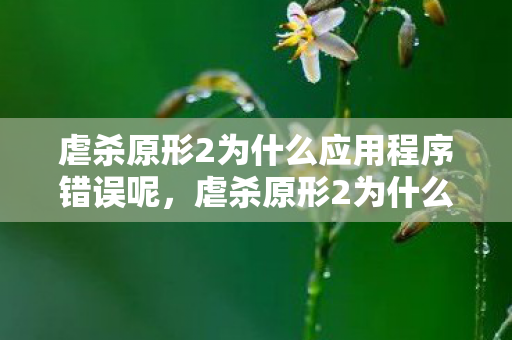 虐杀原形2为什么应用程序错误呢，虐杀原形2为什么应用程序错误