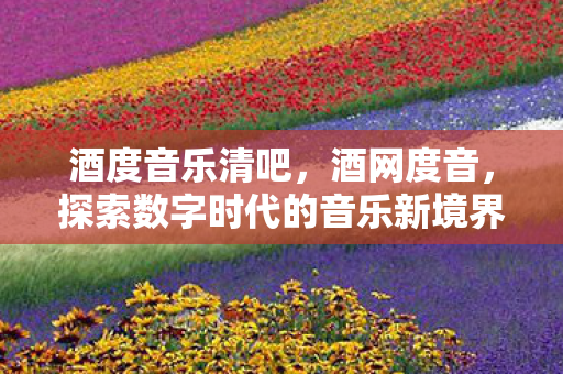 酒度音乐清吧，酒网度音，探索数字时代的音乐新境界