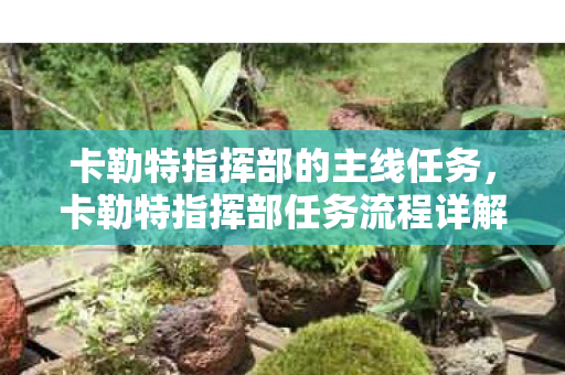 卡勒特指挥部的主线任务，卡勒特指挥部任务流程详解