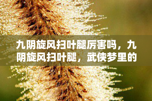 九阴旋风扫叶腿厉害吗，九阴旋风扫叶腿，武侠梦里的绝世轻功