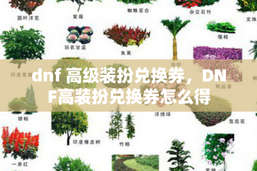 dnf 高级装扮兑换券，DNF高装扮兑换券怎么得