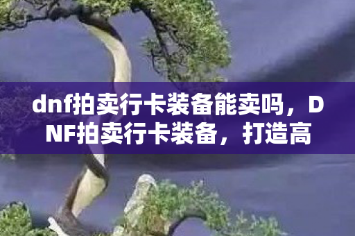 dnf拍卖行卡装备能卖吗，DNF拍卖行卡装备，打造高效交易的必备神器