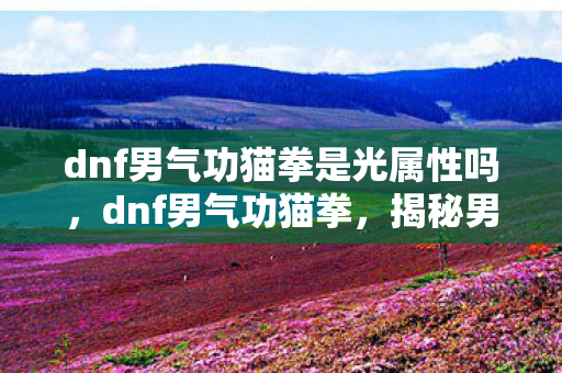 dnf男气功猫拳是光属性吗，dnf男气功猫拳，揭秘男气功师的核心技能与玩法