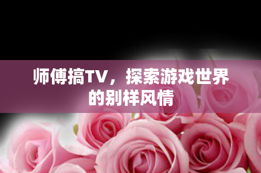师傅搞TV，探索游戏世界的别样风情