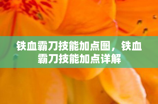 铁血霸刀技能加点图，铁血霸刀技能加点详解