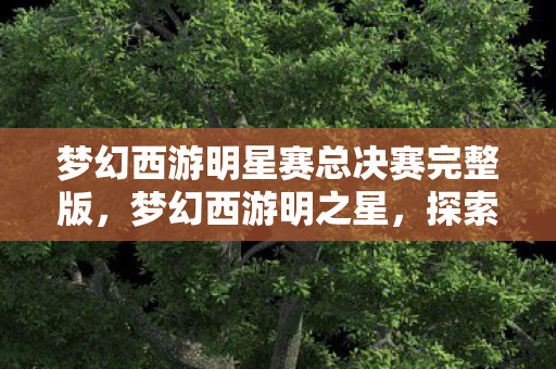 梦幻西游明星赛总决赛完整版，梦幻西游明之星，探索经典游戏的魅力与未来
