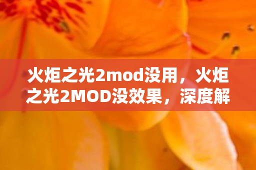 火炬之光2mod没用，火炬之光2MOD没效果，深度解析与解决方案