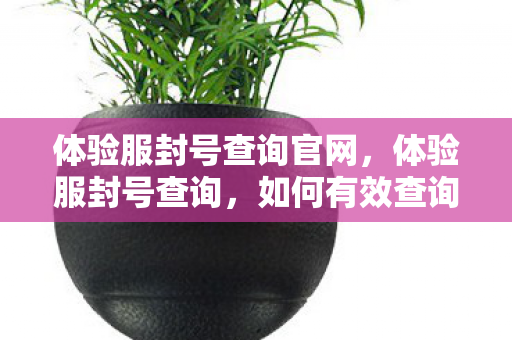 体验服封号查询官网，体验服封号查询，如何有效查询并避免封号风险
