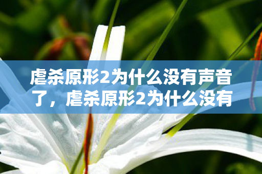 虐杀原形2为什么没有声音了，虐杀原形2为什么没有声音，深入解析游戏音频问题