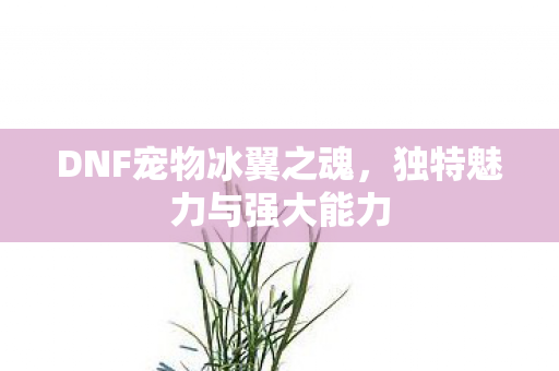 DNF宠物冰翼之魂，独特魅力与强大能力
