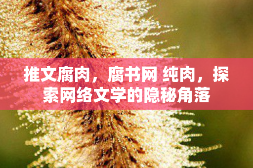 推文腐肉，腐书网 纯肉，探索网络文学的隐秘角落