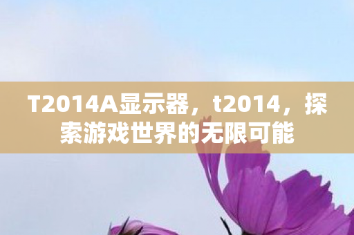 T2014A显示器，t2014，探索游戏世界的无限可能