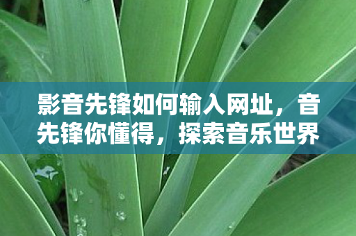 影音先锋如何输入网址，音先锋你懂得，探索音乐世界的无限可能