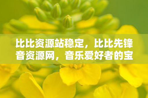 比比资源站稳定，比比先锋音资源网，音乐爱好者的宝藏网站