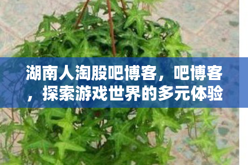 湖南人淘股吧博客，吧博客，探索游戏世界的多元体验与社区互动