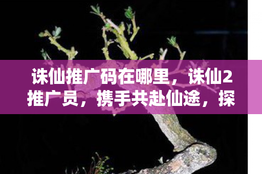 诛仙推广码在哪里，诛仙2推广员，携手共赴仙途，探索奇幻世界
