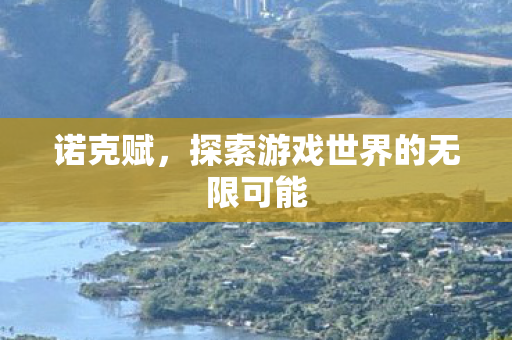 诺克赋，探索游戏世界的无限可能