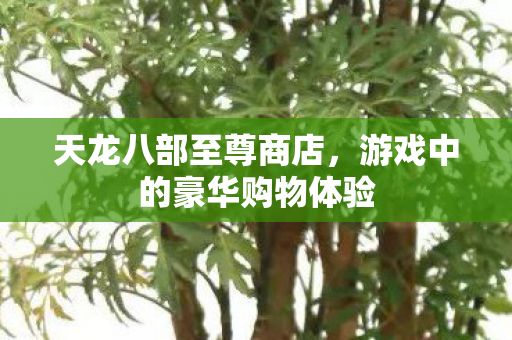 天龙八部至尊商店，游戏中的豪华购物体验