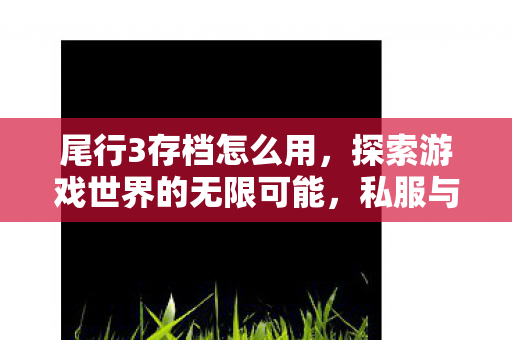 尾行3存档怎么用，探索游戏世界的无限可能，私服与玩家的互动新体验