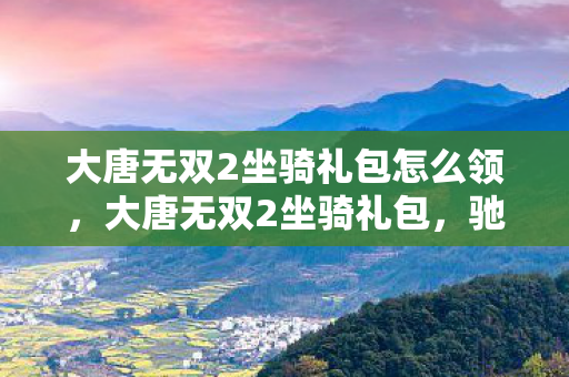 大唐无双2坐骑礼包怎么领，大唐无双2坐骑礼包，驰骋江湖的必备神器