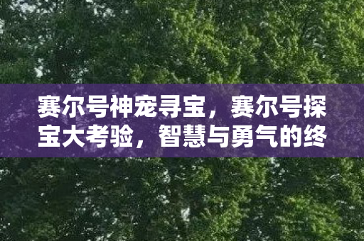 赛尔号神宠寻宝，赛尔号探宝大考验，智慧与勇气的终极试炼