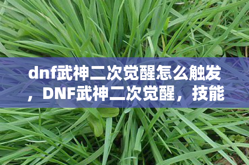 dnf武神二次觉醒怎么触发，DNF武神二次觉醒，技能革新与战斗体验的深度解析
