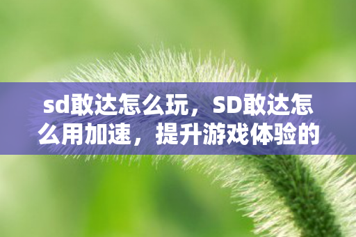 sd敢达怎么玩，SD敢达怎么用加速，提升游戏体验的实用技巧