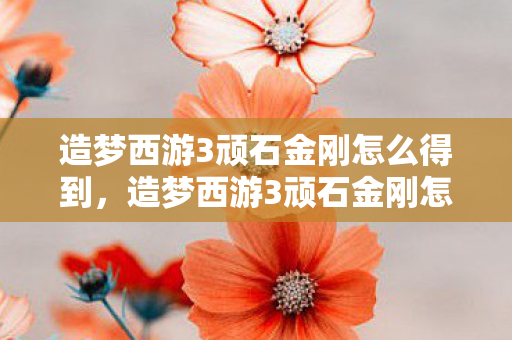 造梦西游3顽石金刚怎么得到，造梦西游3顽石金刚怎么得