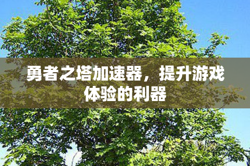 勇者之塔加速器，提升游戏体验的利器