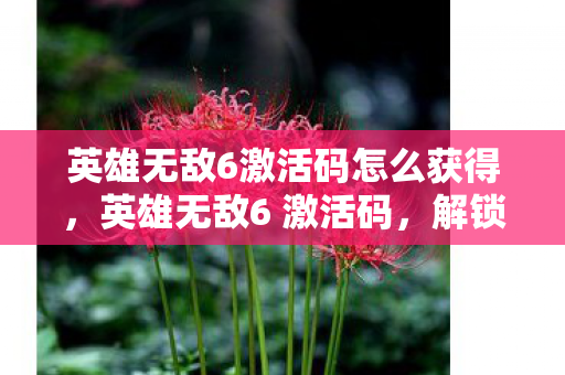 英雄无敌6激活码怎么获得，英雄无敌6 激活码，解锁无限可能的钥匙