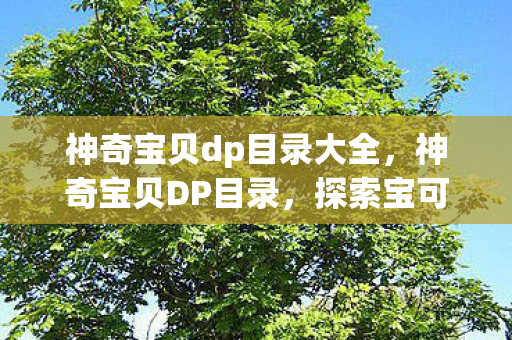 神奇宝贝dp目录大全，神奇宝贝DP目录，探索宝可梦世界的奇妙旅程