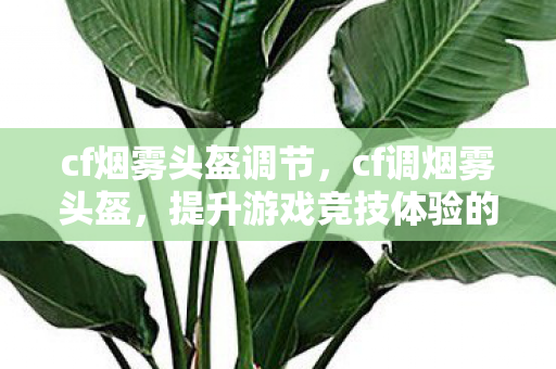 cf烟雾头盔调节，cf调烟雾头盔，提升游戏竞技体验的秘密武器