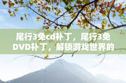 尾行3免cd补丁，尾行3免DVD补丁，解锁游戏世界的钥匙