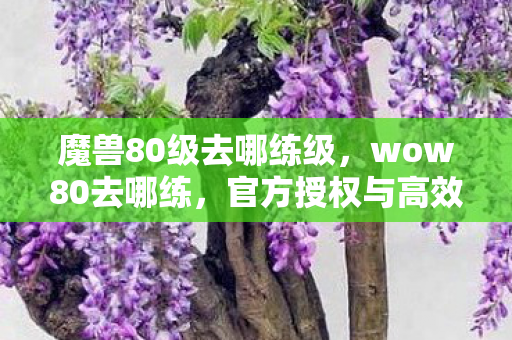 魔兽80级去哪练级，wow80去哪练，官方授权与高效练级攻略