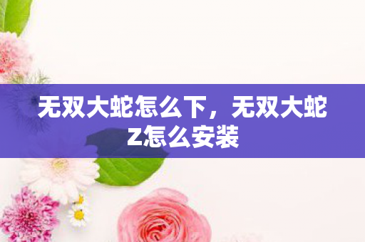 无双大蛇怎么下，无双大蛇Z怎么安装