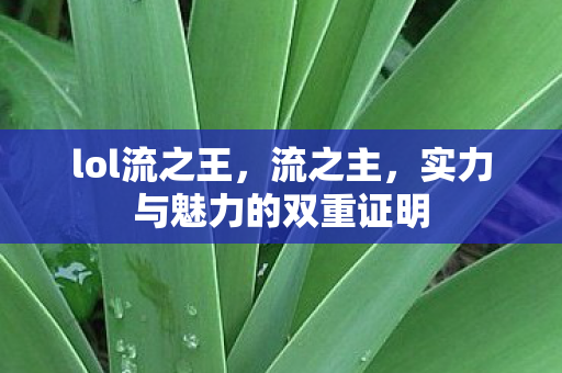 lol流之王，流之主，实力与魅力的双重证明